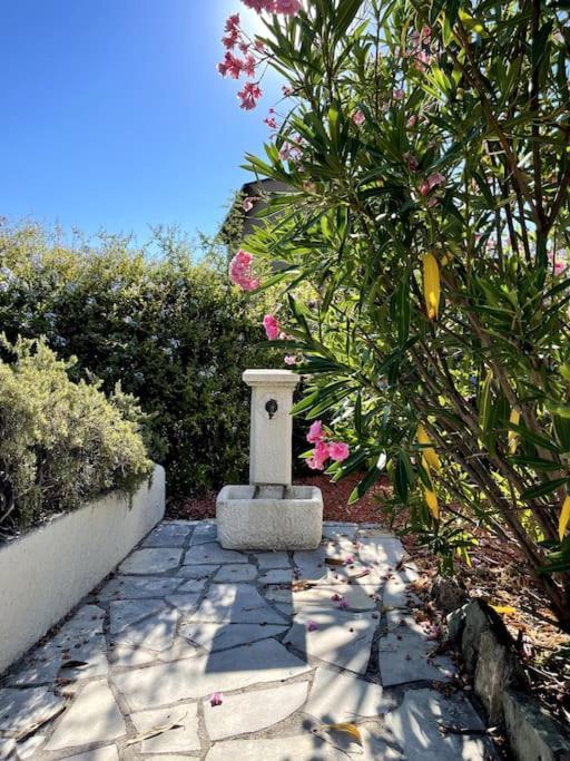 Villa La Quietude Les Issambres Kültér fotó